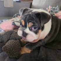 Thumbnail photo of Rafael Buster #1