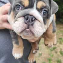 Thumbnail photo of Rafael Buster #2