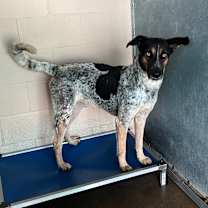 Thumbnail photo of Grayson #1