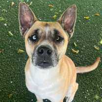 Thumbnail photo of Milli 2009 #1