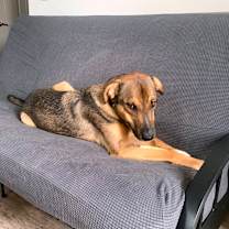 Thumbnail photo of Donnie #2