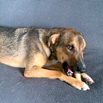 Thumbnail photo of Donnie #3