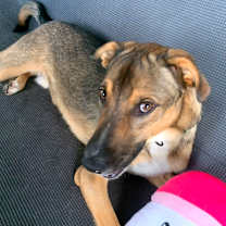 Thumbnail photo of Donnie #4