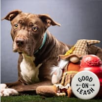 Thumbnail photo of Bobbi #1