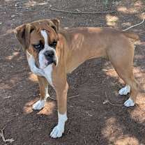 Thumbnail photo of Luka #1