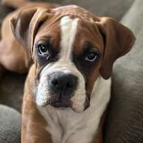 Thumbnail photo of Luka #2