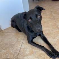 Thumbnail photo of WEDNESDAY #1