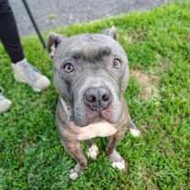 Thumbnail photo of Mittens #2