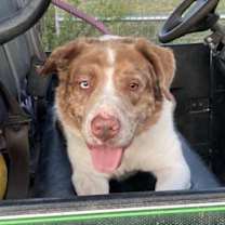 Thumbnail photo of Twister #3