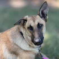 Thumbnail photo of Thalia (Lolly) #3