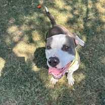 Thumbnail photo of Spring #3