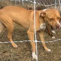 Thumbnail photo of Tiny #2