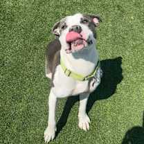 Thumbnail photo of Spring #2