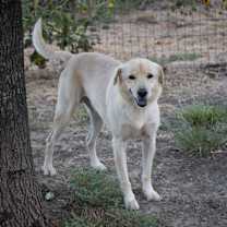 Thumbnail photo of Casper #1