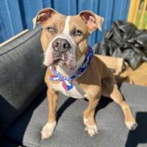 Thumbnail photo of Polly #1