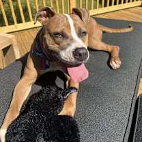 Thumbnail photo of Polly #2