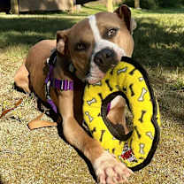 Thumbnail photo of Polly #3