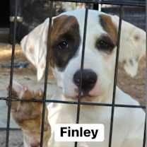 Thumbnail photo of The 8 is enough litter #3