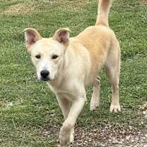 Thumbnail photo of Tator #2