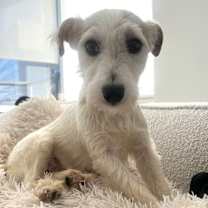 Thumbnail photo of Karlena #4