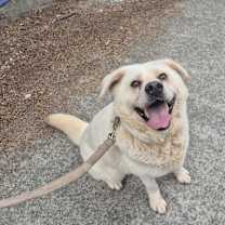 Thumbnail photo of Jinsu #1