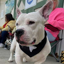 Thumbnail photo of Neo #3