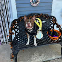 Thumbnail photo of Boots #2