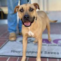 Thumbnail photo of Mariane Thornberry #3