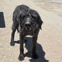 Thumbnail photo of Luna #1