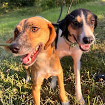 Thumbnail photo of Buster #3