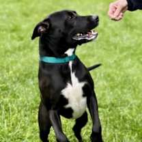 Thumbnail photo of Lucy #4