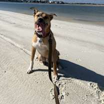 Thumbnail photo of Oliver #1