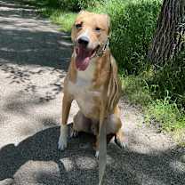 Thumbnail photo of Oliver #2