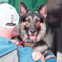 Thumbnail photo of Bane 7255 #1