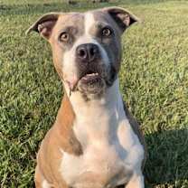 Thumbnail photo of LILLY #3