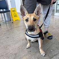 Thumbnail photo of Ruth #3