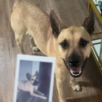 Thumbnail photo of Blake #1