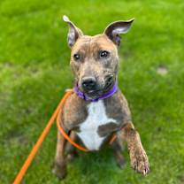 Thumbnail photo of Cassie #3