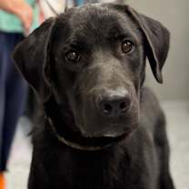 Thumbnail photo of Beans #3