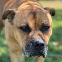 Thumbnail photo of Dante #1