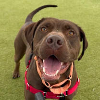 Thumbnail photo of Dora #1