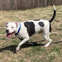 Thumbnail photo of Max #2