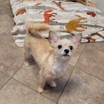 Thumbnail photo of Delilah #1