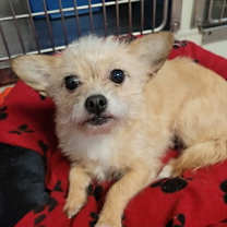 Thumbnail photo of Delilah #2