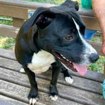 Thumbnail photo of Oxford #3