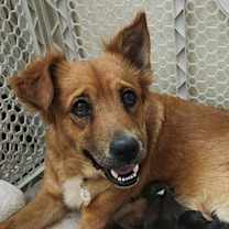 Thumbnail photo of Harper #2