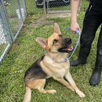 Thumbnail photo of Ruby #2