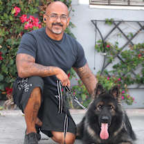 Thumbnail photo of Bear von Brienz #4