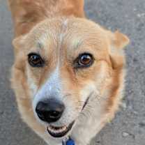 Thumbnail photo of Bernie #1