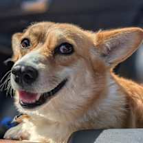 Thumbnail photo of Bernie #2